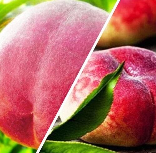 Персик в ассортименте